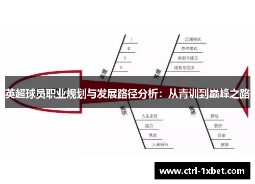 英超球员职业规划与发展路径分析：从青训到巅峰之路