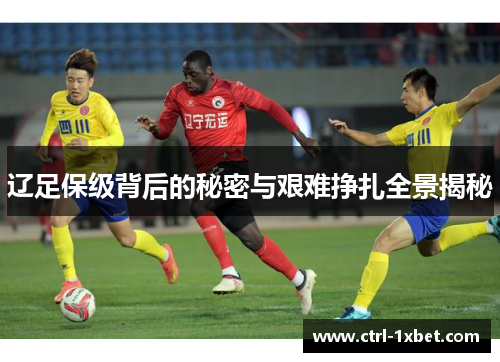 辽足保级背后的秘密与艰难挣扎全景揭秘