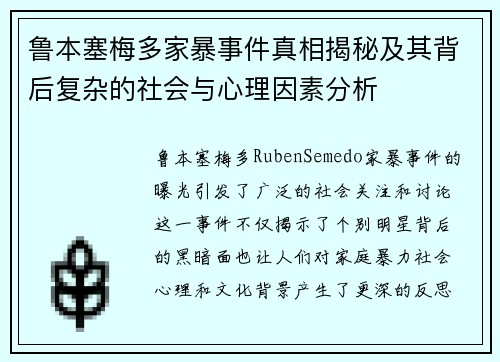 鲁本塞梅多家暴事件真相揭秘及其背后复杂的社会与心理因素分析