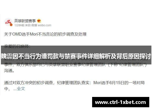 魏震因不当行为遭罚款与禁赛事件详细解析及背后原因探讨
